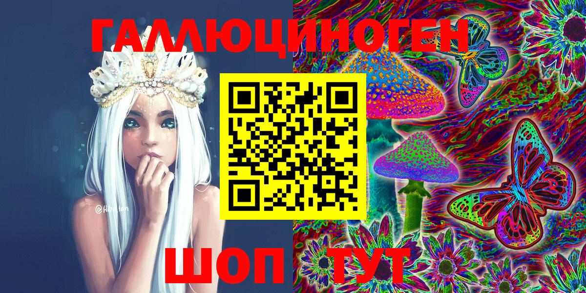 Вязники  Псилоцибиновые грибы MAGIC MUSHROOMS  Вход с VPN 